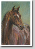 Portrait of a Horse