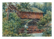 Link to "The Big Trout Are Under The Bridge"