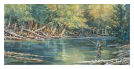 Link to "Casting to Dark Water Trout"